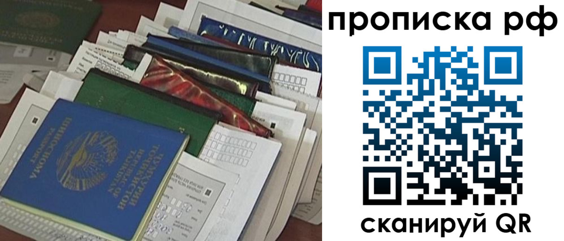 прописка в Ярославле